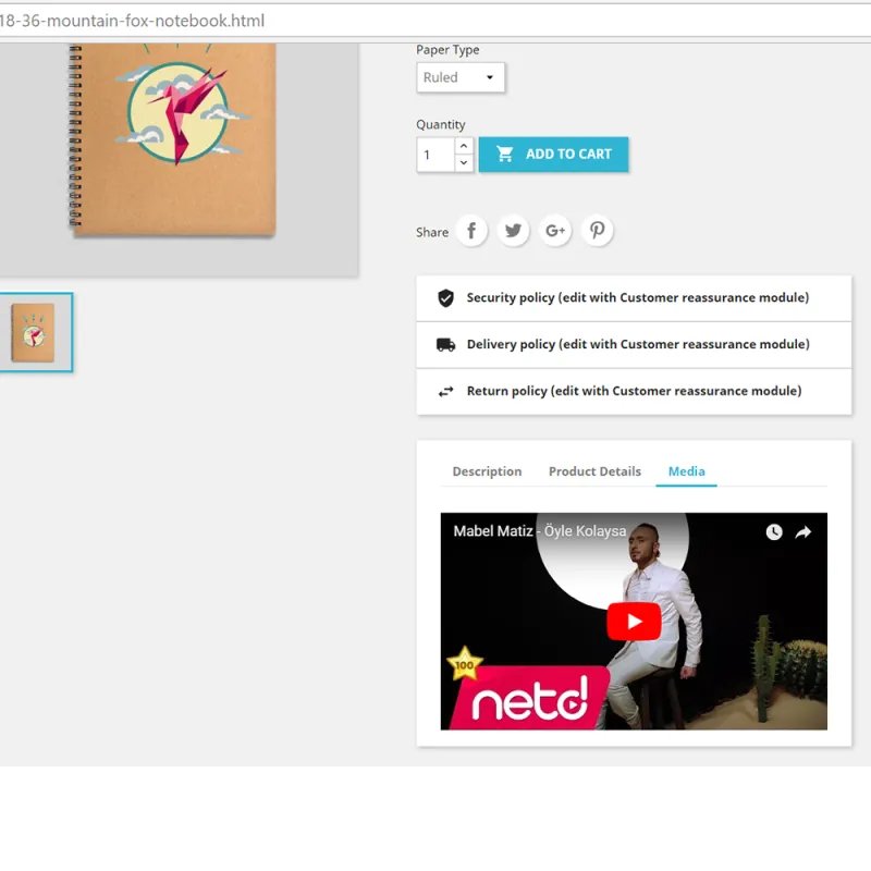 Prestashop Product Custom (Media) Tab Module Prestashop Product Custom (Media) Tab Module