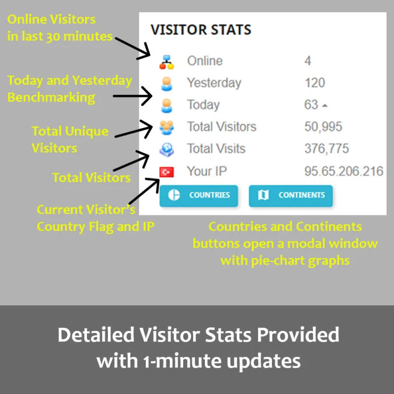 Hızlı İstatistikler - Ön Sayfada Ziyaretçi İstatistikleri